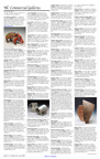 625CarolinaArts-pg72